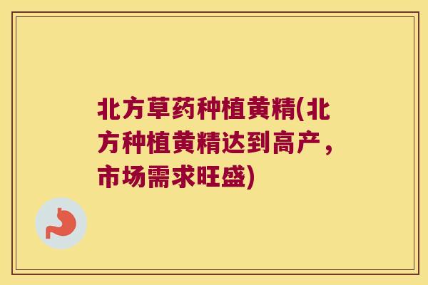 北方草药种植黄精(北方种植黄精达到高产，市场需求旺盛)