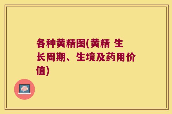 各种黄精图(黄精 生长周期、生境及药用价值)
