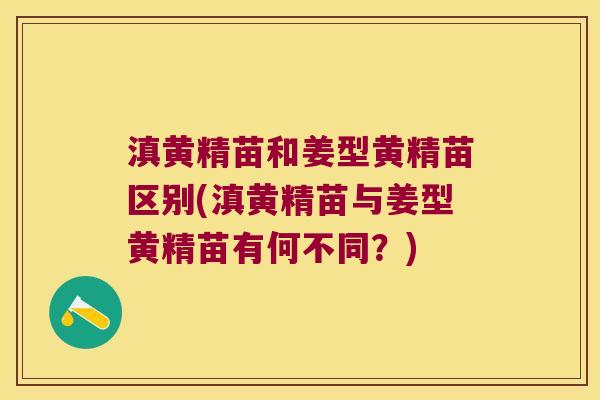 滇黄精苗和姜型黄精苗区别(滇黄精苗与姜型黄精苗有何不同？)