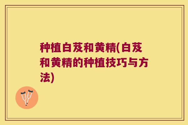 种植白芨和黄精(白芨和黄精的种植技巧与方法)