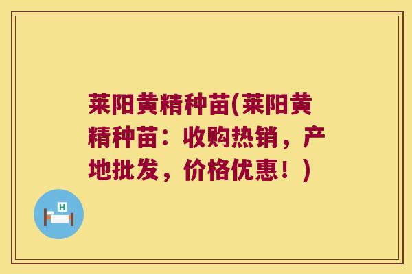莱阳黄精种苗(莱阳黄精种苗:收购热销,产地批发,价格优惠!) 莱阳黄精种苗(莱阳黄精种苗:收购热销,产地批发,价格优惠!)