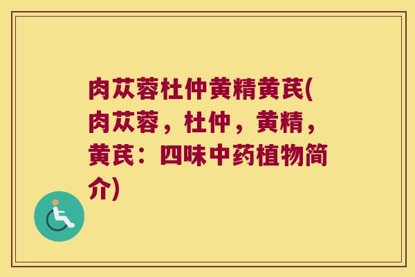 肉苁蓉杜仲黄精黄芪(肉苁蓉，杜仲，黄精，黄芪：四味植物简介)