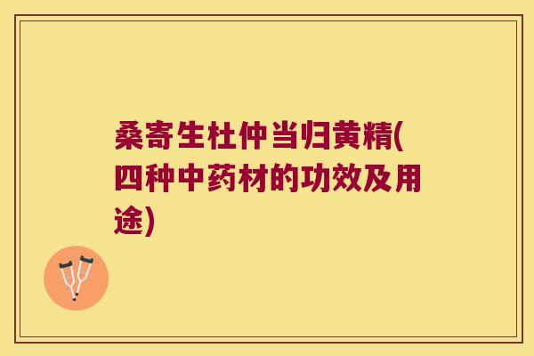 桑寄生杜仲当归黄精(四种材的功效及用途) 桑寄生杜仲当归黄精(四种材的功效及用途)