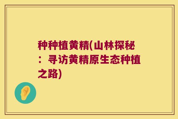 种种植黄精(山林探秘:寻访黄精原生态种植之路) 种种植黄精(山林探秘:寻访黄精原生态种植之路)