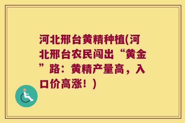 河北邢台黄精种植(河北邢台农民闯出“黄金”路:黄精产量高,入口价高涨!) 河北邢台黄精种植(河北邢台农民闯出“黄金”路:黄精产量高,入口价高涨!)