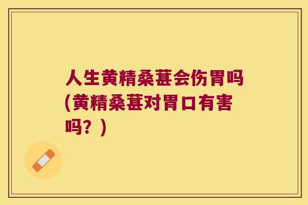 人生黄精桑葚会伤胃吗(黄精桑葚对胃口有害吗?) 人生黄精桑葚会伤胃吗(黄精桑葚对胃口有害吗?)