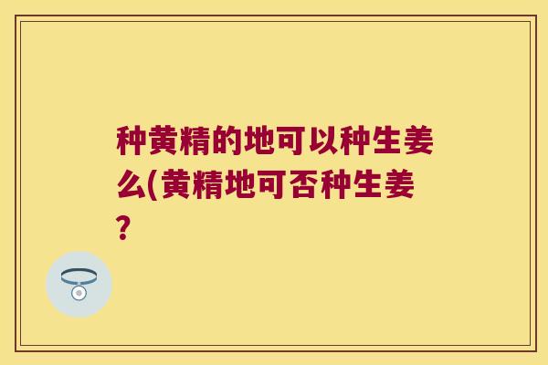 种黄精的地可以种生姜么(黄精地可否种生姜? 种黄精的地可以种生姜么(黄精地可否种生姜?