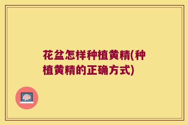 花盆怎样种植黄精(种植黄精的正确方式)