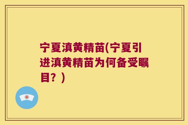 宁夏滇黄精苗(宁夏引进滇黄精苗为何备受瞩目?) 宁夏滇黄精苗(宁夏引进滇黄精苗为何备受瞩目?)