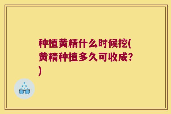 种植黄精什么时候挖(黄精种植多久可收成？)