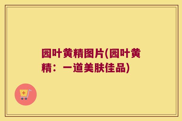 园叶黄精图片(园叶黄精：一道美肤佳品)