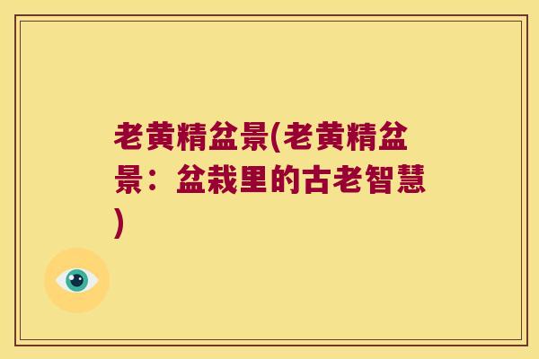 老黄精盆景(老黄精盆景：盆栽里的古老智慧)