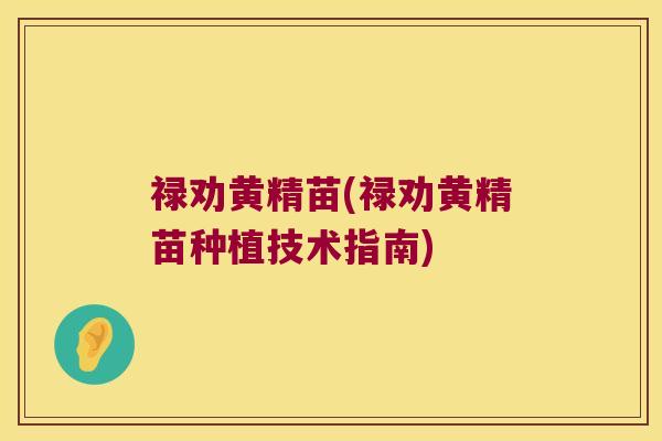 禄劝黄精苗(禄劝黄精苗种植技术指南)