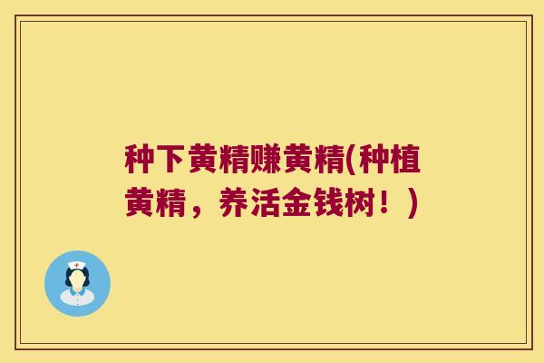 种下黄精赚黄精(种植黄精，养活金钱树！)
