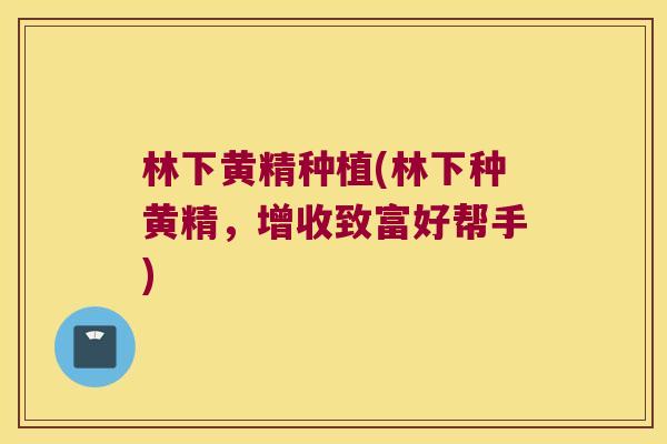 林下黄精种植(林下种黄精,增收致富好帮手) 林下黄精种植(林下种黄精,增收致富好帮手)