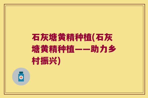 石灰塘黄精种植(石灰塘黄精种植——助力乡村振兴) 石灰塘黄精种植(石灰塘黄精种植——助力乡村振兴)