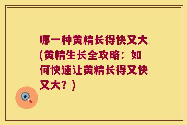 哪一种黄精长得快又大(黄精生长全攻略:如何快速让黄精长得又快又大?) 哪一种黄精长得快又大(黄精生长全攻略:如何快速让黄精长得又快又大?)