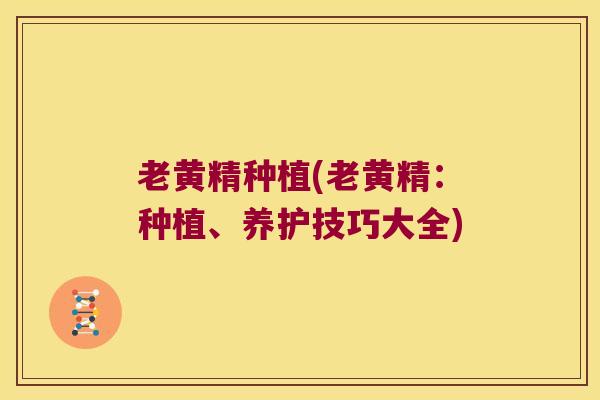 老黄精种植(老黄精：种植、养护技巧大全)
