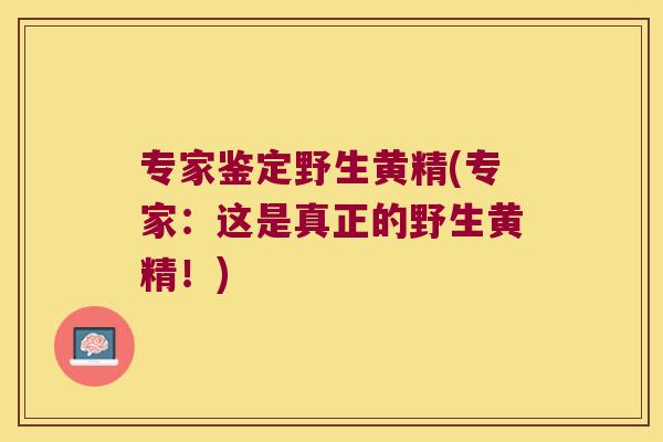 专家鉴定野生黄精(专家：这是真正的野生黄精！)