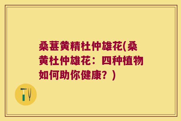 桑葚黄精杜仲雄花(桑黄杜仲雄花:四种植物如何助你健康?) 桑葚黄精杜仲雄花(桑黄杜仲雄花:四种植物如何助你健康?)