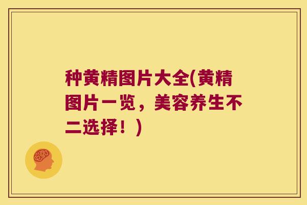 种黄精图片大全(黄精图片一览,美容养生不二选择!) 种黄精图片大全(黄精图片一览,美容养生不二选择!)