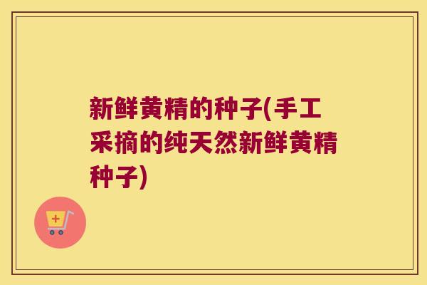 新鲜黄精的种子(手工采摘的纯天然新鲜黄精种子)