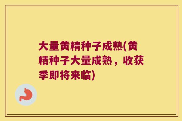 大量黄精种子成熟(黄精种子大量成熟，收获季即将来临)