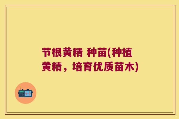 节根黄精 种苗(种植黄精，培育优质苗木)
