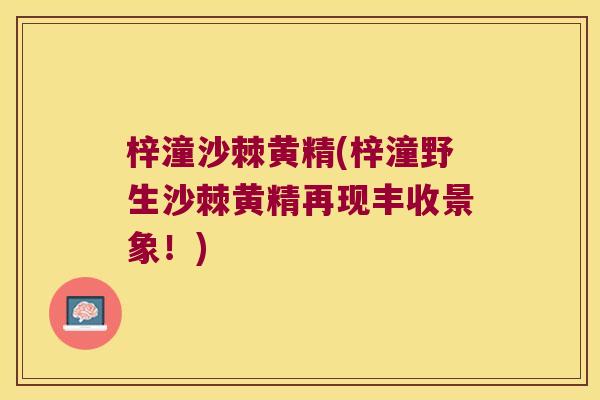 梓潼沙棘黄精(梓潼野生沙棘黄精再现丰收景象！)