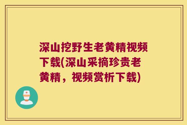 深山挖野生老黄精视频下载(深山采摘珍贵老黄精，视频赏析下载)