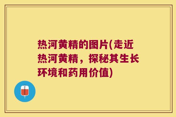 热河黄精的图片(走近热河黄精，探秘其生长环境和药用价值)