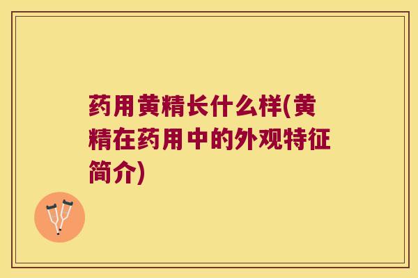 药用黄精长什么样(黄精在药用中的外观特征简介) 药用黄精长什么样(黄精在药用中的外观特征简介)