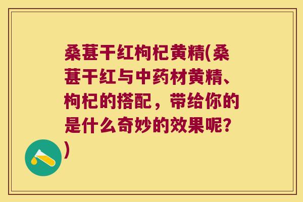桑葚干红枸杞黄精(桑葚干红与材黄精、枸杞的搭配,带给你的是什么奇妙的效果呢?) 桑葚干红枸杞黄精(桑葚干红与材黄精、枸杞的搭配,带给你的是什么奇妙的效果呢?)