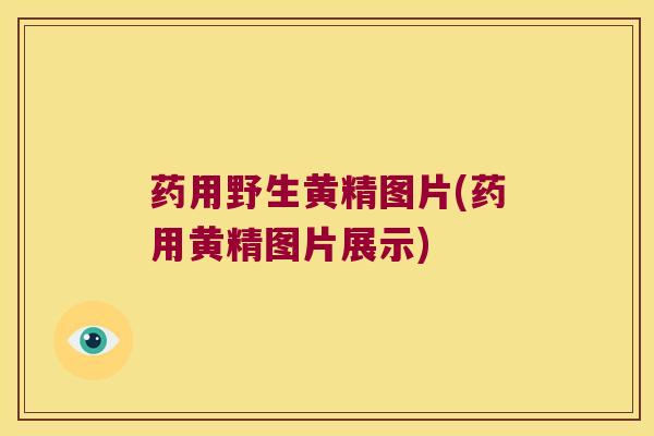 药用野生黄精图片(药用黄精图片展示)
