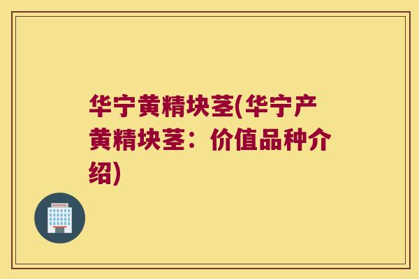 华宁黄精块茎(华宁产黄精块茎：价值品种介绍)