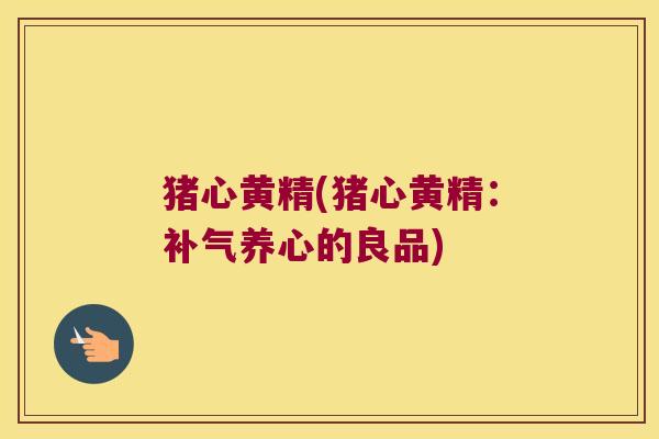 猪心黄精(猪心黄精:养心的良品) 猪心黄精(猪心黄精:养心的良品)