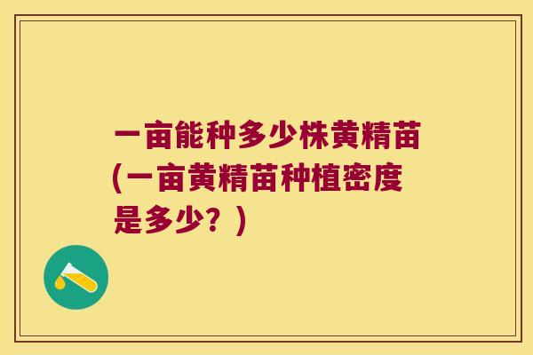 一亩能种多少株黄精苗(一亩黄精苗种植密度是多少?) 一亩能种多少株黄精苗(一亩黄精苗种植密度是多少?)