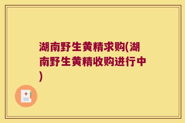 湖南野生黄精求购(湖南野生黄精收购进行中)