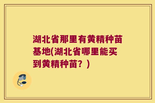 湖北省那里有黄精种苗基地(湖北省哪里能买到黄精种苗?) 湖北省那里有黄精种苗基地(湖北省哪里能买到黄精种苗?)