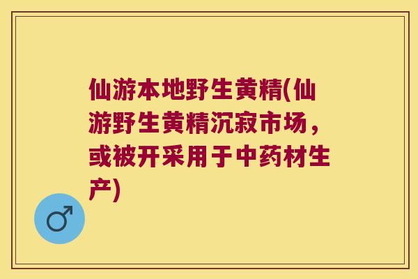 仙游本地野生黄精(仙游野生黄精沉寂市场,或被开采用于材生产) 仙游本地野生黄精(仙游野生黄精沉寂市场,或被开采用于材生产)
