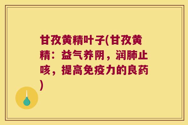 甘孜黄精叶子(甘孜黄精：益气养阴，润止咳，提高力的良药)