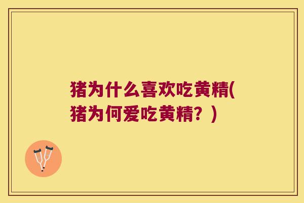 猪为什么喜欢吃黄精(猪为何爱吃黄精？)