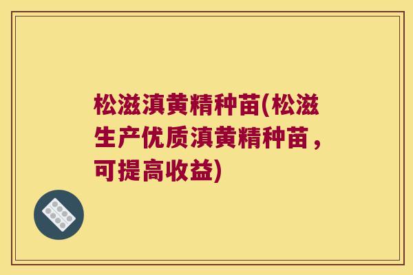 松滋滇黄精种苗(松滋生产优质滇黄精种苗，可提高收益)
