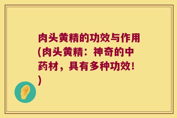 肉头黄精的功效与作用(肉头黄精：神奇的材，具有多种功效！)