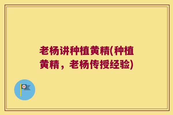 老杨讲种植黄精(种植黄精,老杨传授经验) 老杨讲种植黄精(种植黄精,老杨传授经验)