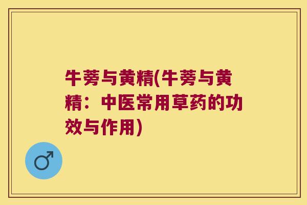 牛蒡与黄精(牛蒡与黄精：中医常用草药的功效与作用)