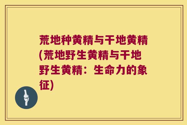 荒地种黄精与干地黄精(荒地野生黄精与干地野生黄精：生命力的象征)