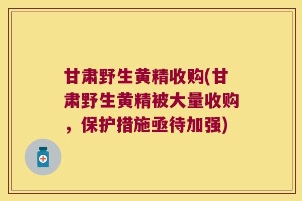 甘肃野生黄精收购(甘肃野生黄精被大量收购,保护措施亟待加强) 甘肃野生黄精收购(甘肃野生黄精被大量收购,保护措施亟待加强)