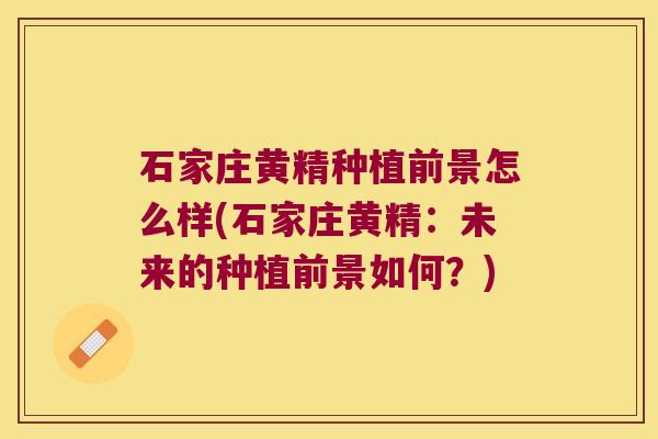 石家庄黄精种植前景怎么样(石家庄黄精：未来的种植前景如何？)