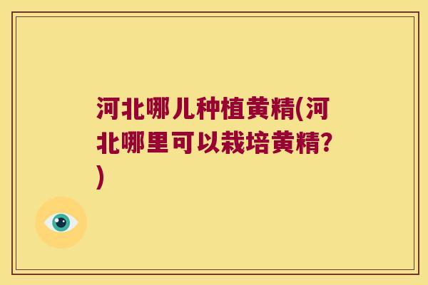 河北哪儿种植黄精(河北哪里可以栽培黄精?) 河北哪儿种植黄精(河北哪里可以栽培黄精?)